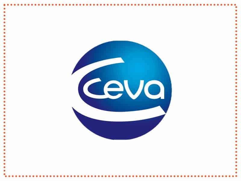 1632331092_a6e01d_ceva