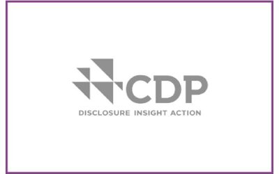 CDP Driving Sustainable Economies