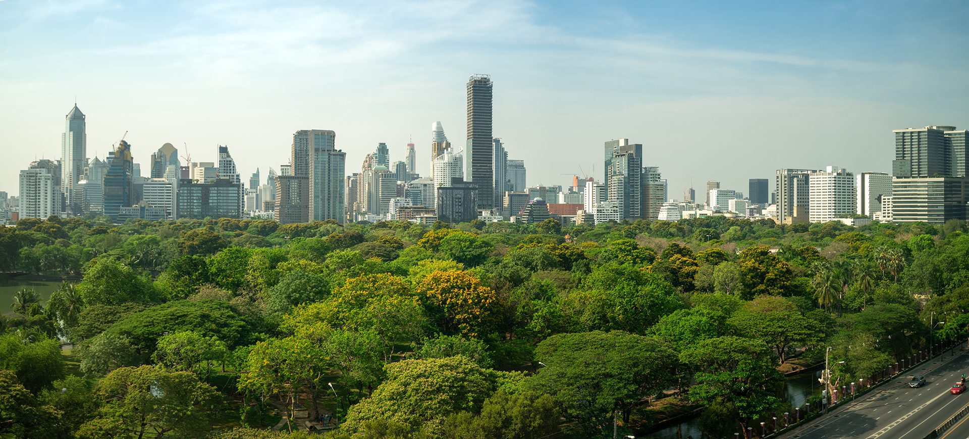 Na Trilha da COP 28