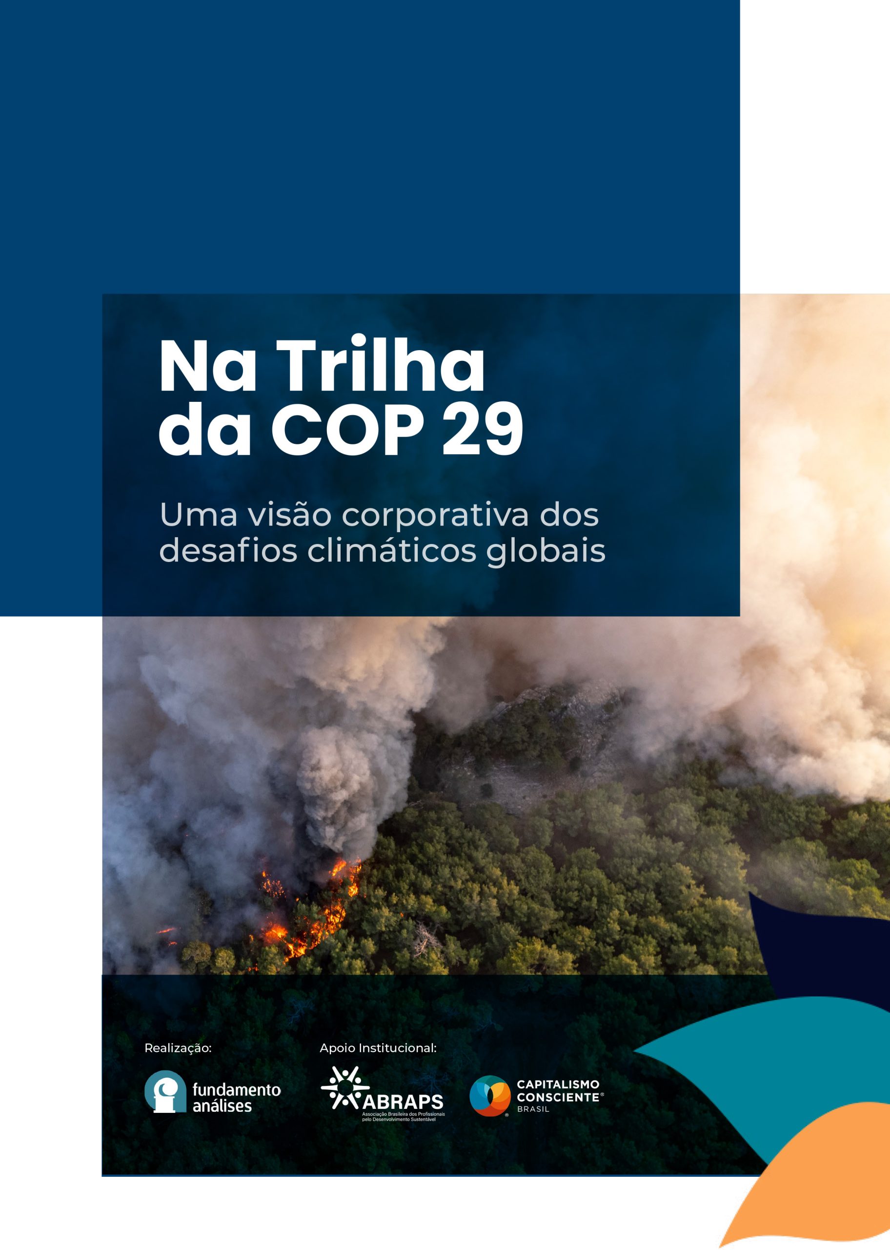Capa_Relatório COP29