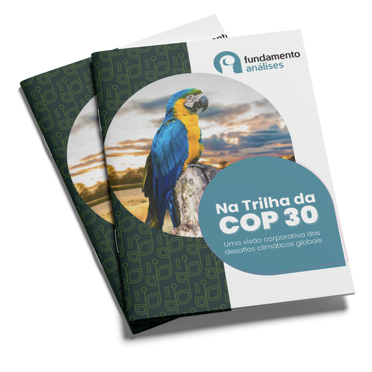 Mockup_Capa_Cop30